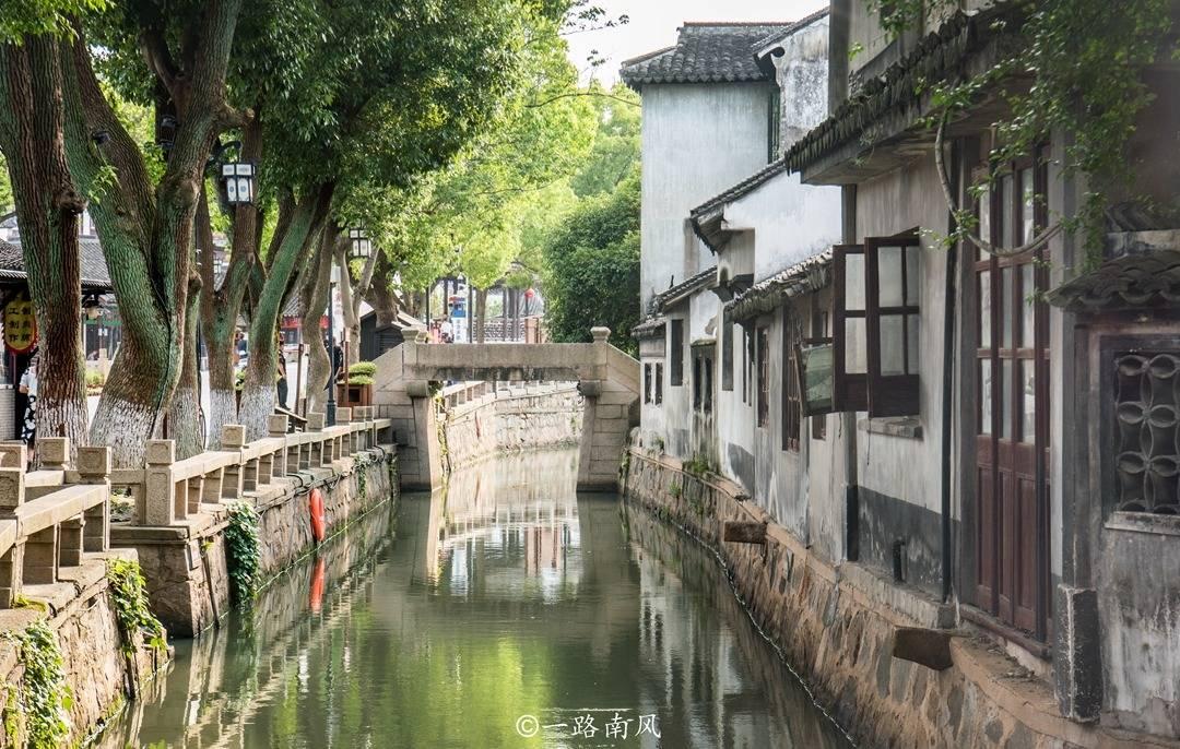 【创意手工】小鲨鱼玩偶